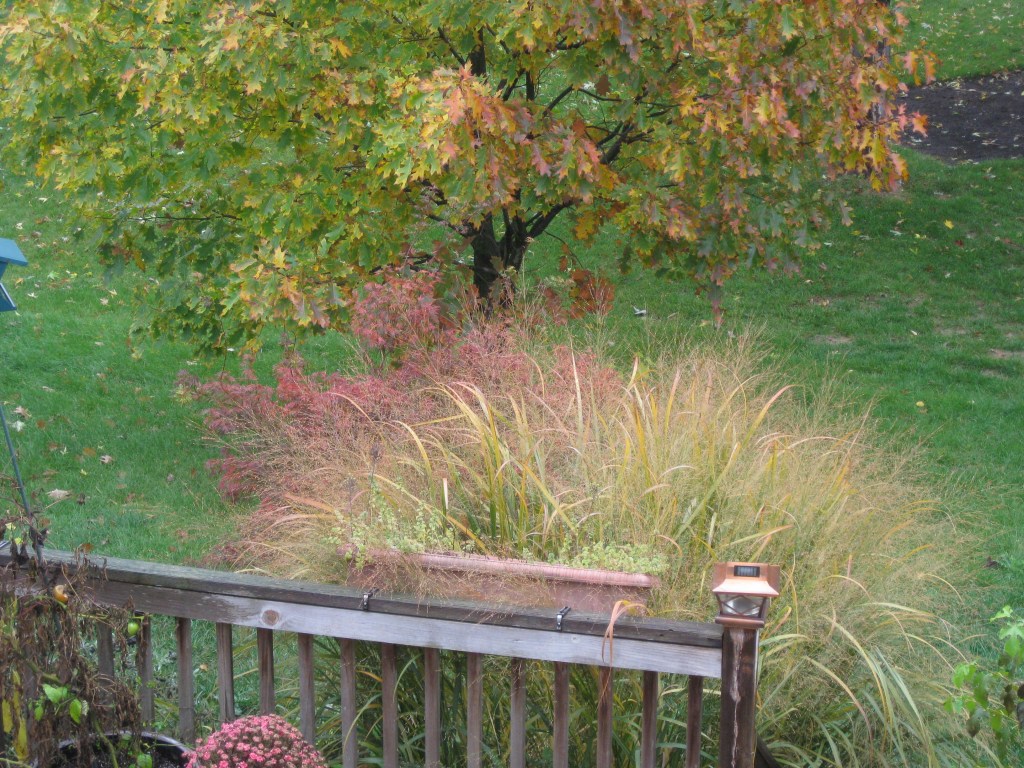 Room with a&nbsp;view