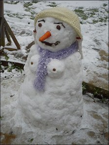 snow_woman_352_352x470