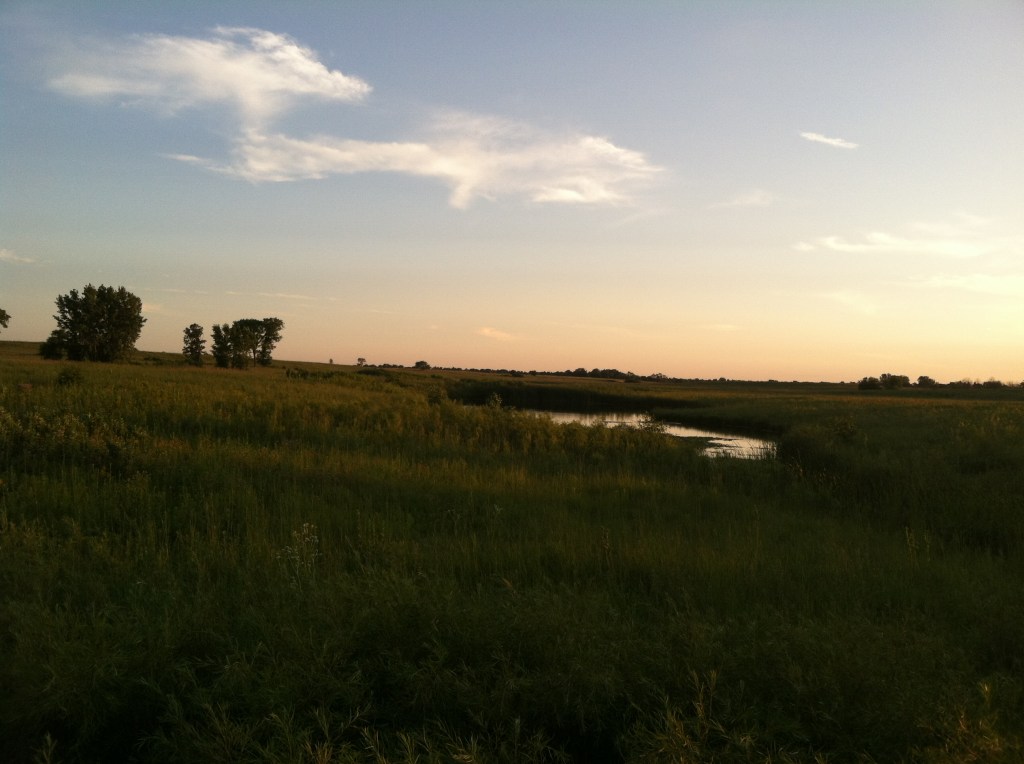 IMG_0086, springbrook prairie, snide reply blog